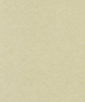 Warlon Laminated paper in Amber